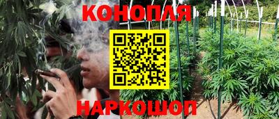 ECSTASY Будённовск
