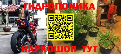 прущие крисы Бугуруслан