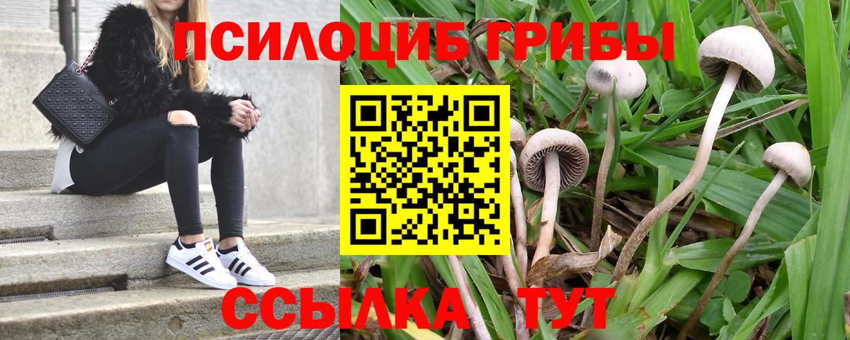 Галлюциногенные грибы мухоморы Ржев